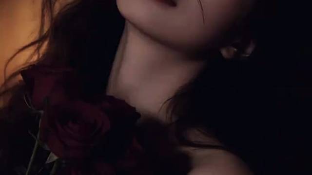 回归咯