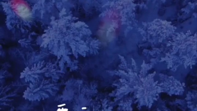 需要梦想更需要方向