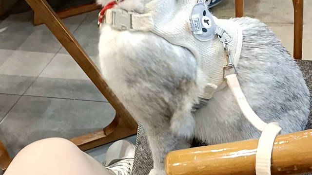 东张西望