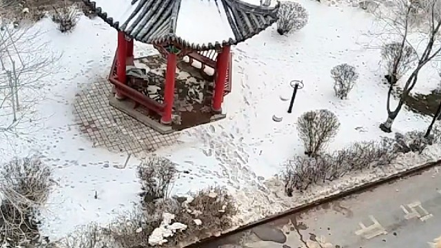 哥哥～给个机会嘛～