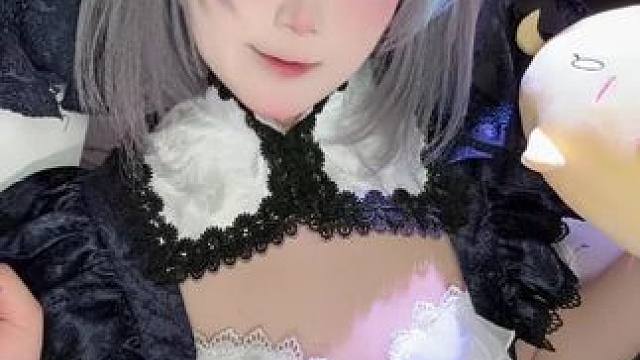 放一只猫在这