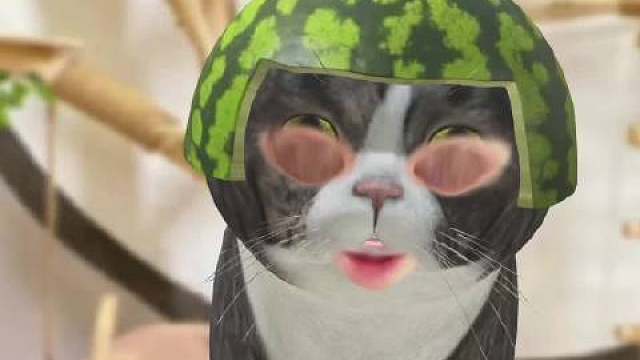 AG崽崽们愚人节整活
只看眼睛和嘴巴
大家能分清谁是谁吗？
 ​​​