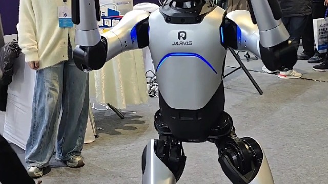人形机器人