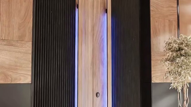 黑波纹铝板木纹，双开对称美学#TINNO帝诺系统入户门 #别墅门 #系统