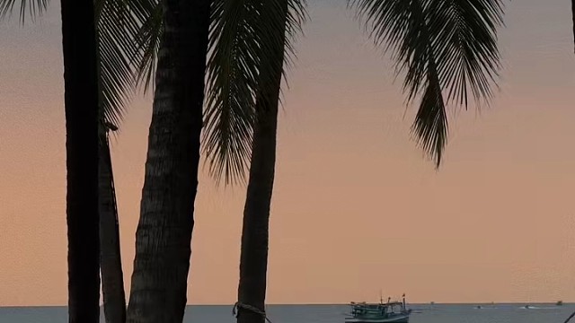 当执念开始消失
平静会贯穿每分每秒️