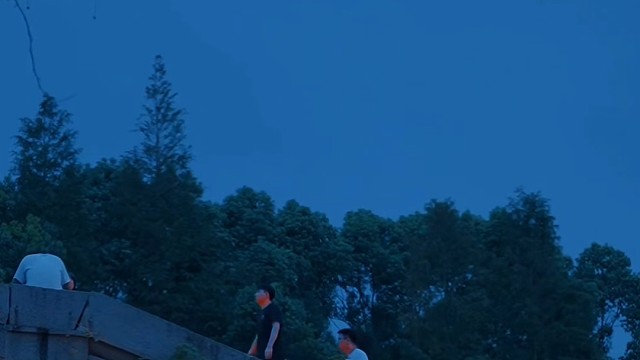 城南小陌又逢春，只见梅花不见人，人有生老三千疾，唯有相思不可医。