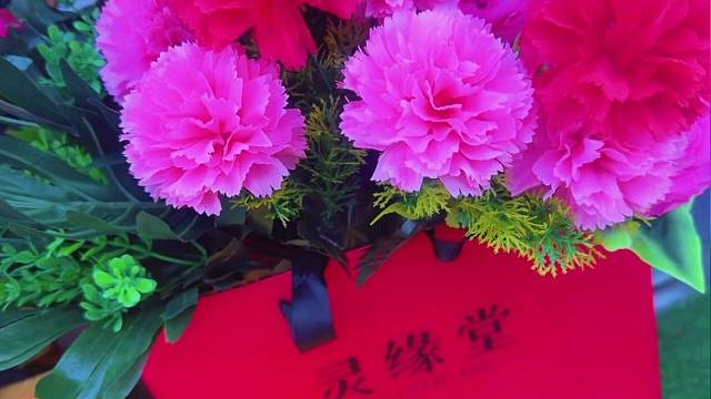 清明时节雨纷纷