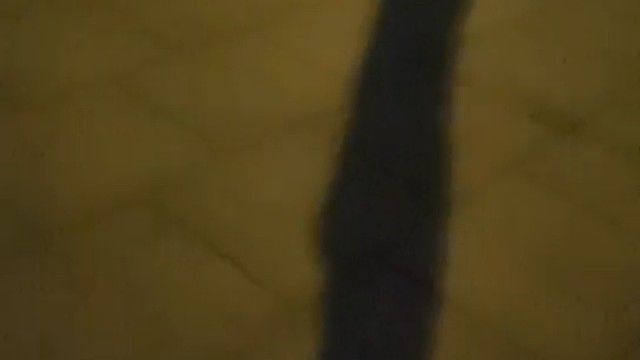 活着开心最重要