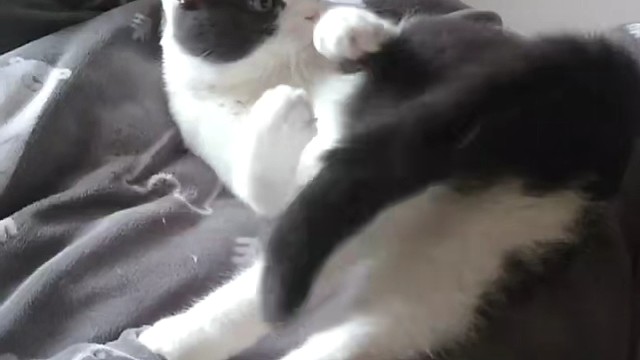 。。。