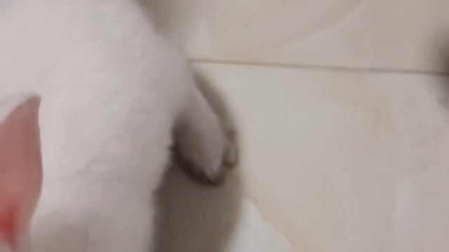 日常