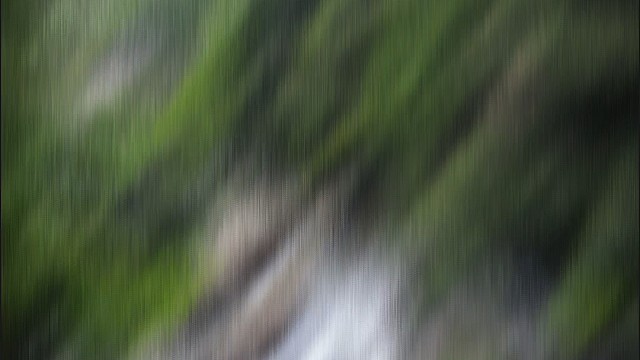封心的雪