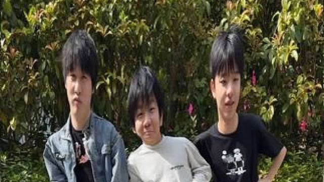 跳完农场集合