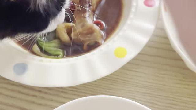 小猫：我也想吃……