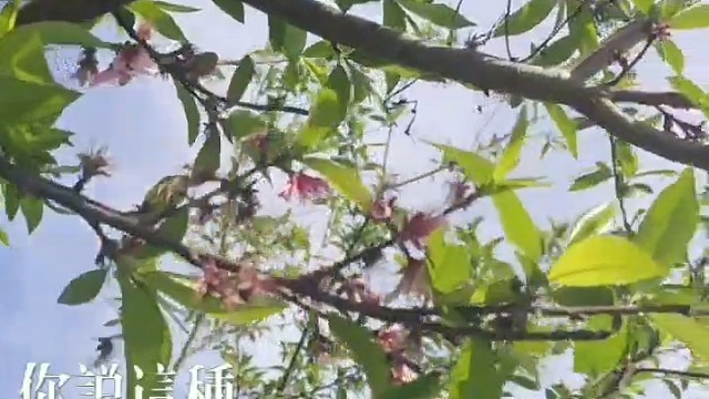 问大家一个问题，当初玩和平精英的人还在吗？