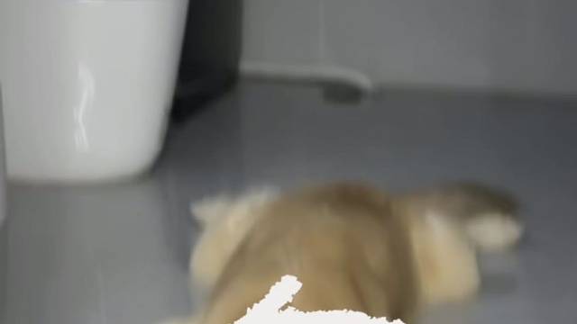 发个我的贝贝～