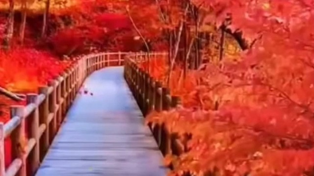 《又见山里红》祁隆完整版