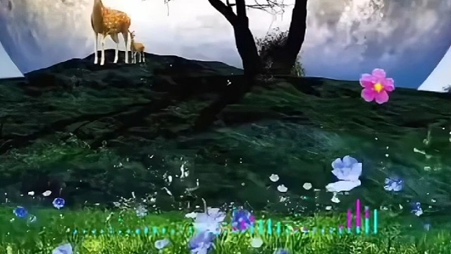 《你永远不懂我》乔丽娜无损完整版