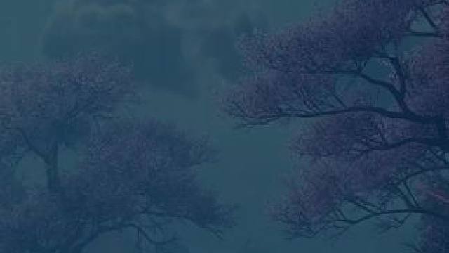 昭君妹妹