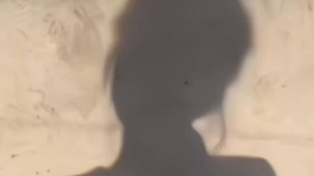 向上而生