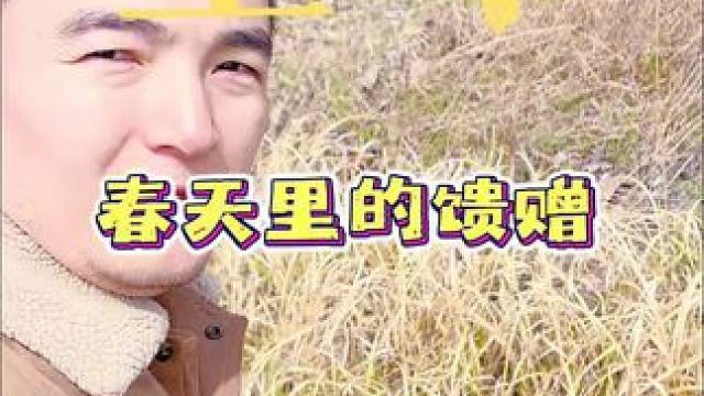每次看到这个东西，都会想起小时候