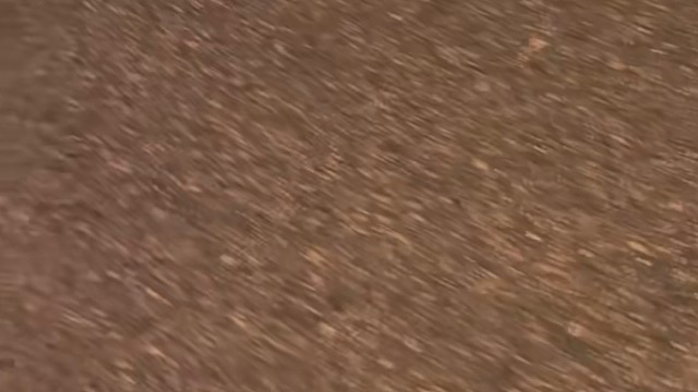 生活