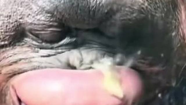 干净又卫生