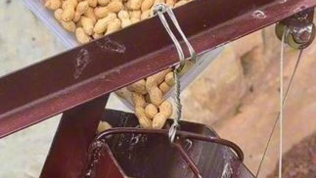 熊森林升级改造完成 欢迎大家前来打卡游玩