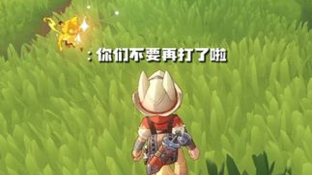 住手！你们不要再打了！