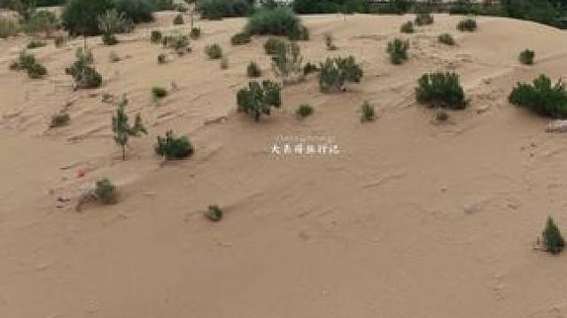 沙漠中的新农村，统一规划，干净整洁。村民高兴的合不拢嘴。