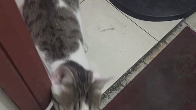 撒娇