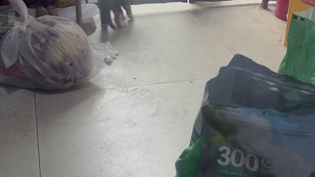 楚汉