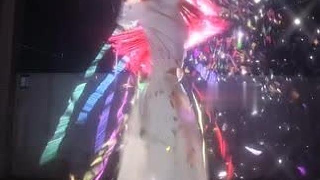 你的爱情鸟又飞回来了