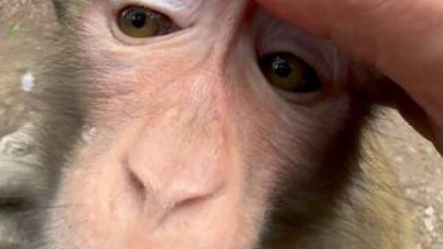 《明知故问》