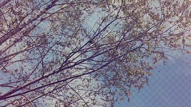 好美