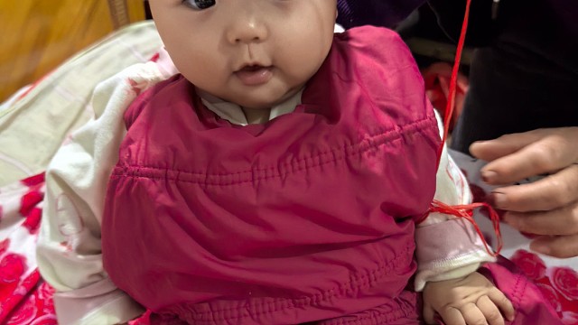 可爱吗