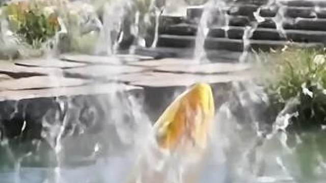 修仙：你这是邪修！