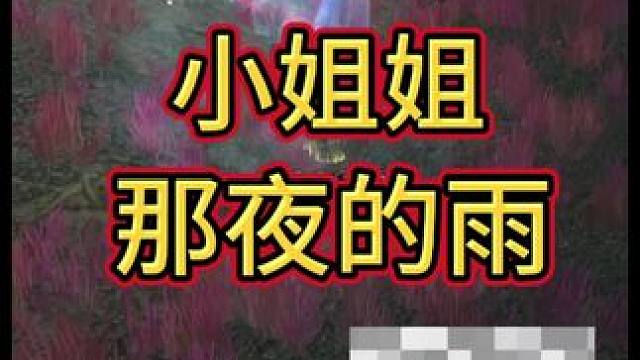 那夜的雨！