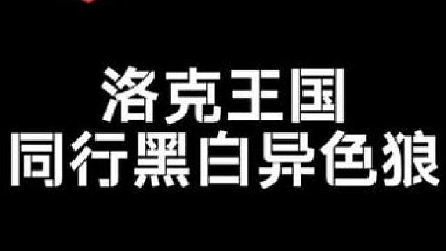 我没事的兄弟们，没逝的.....