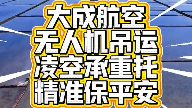 有吊运需求，就找大成航空吊运