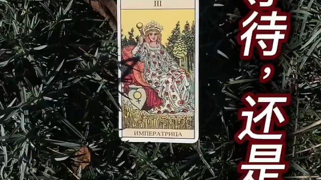 等待亦或是离开？