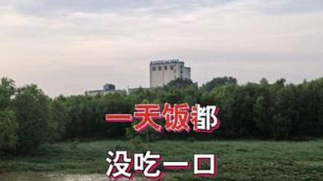 改编歌曲