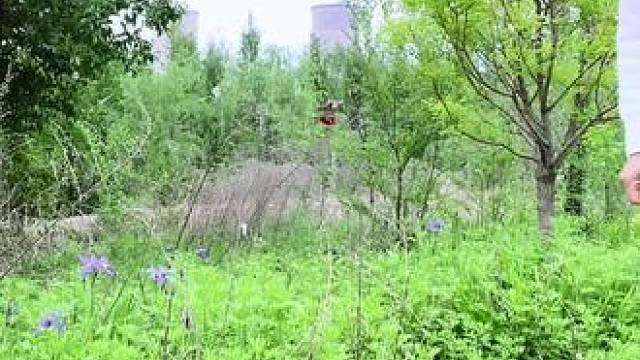 都解锁了吗？