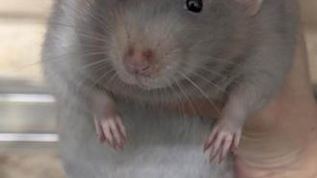 一只手盘不过来