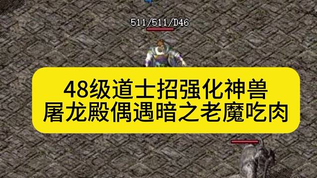 48级道士招强化神兽，屠龙殿偶遇暗之赤月老魔吃肉！