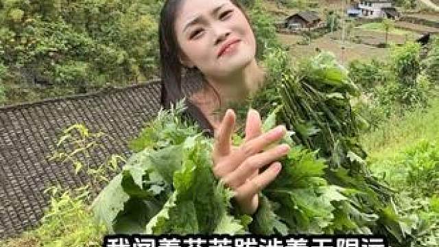 从未拥有你，却已失去你。你是我心中永远的遗憾，也是我灵魂深处最温柔的痛。情到深处是西海，爱到极致是楼兰！