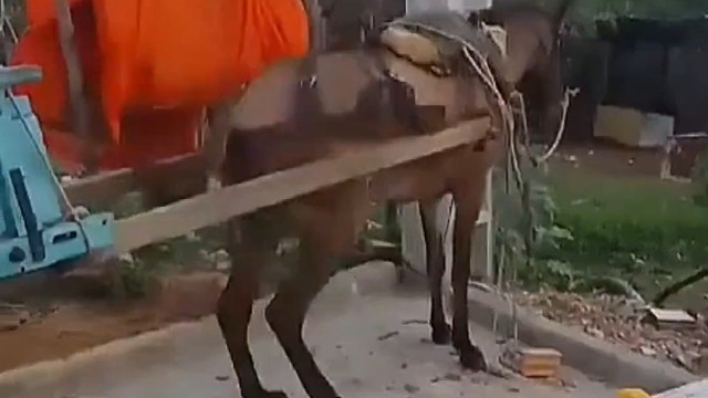 准备好了吗