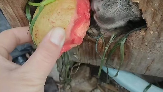 抢劫了