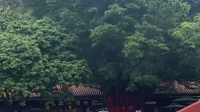 平平安安，健健康康
