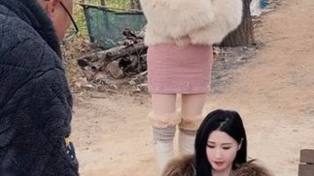 不按套路出牌