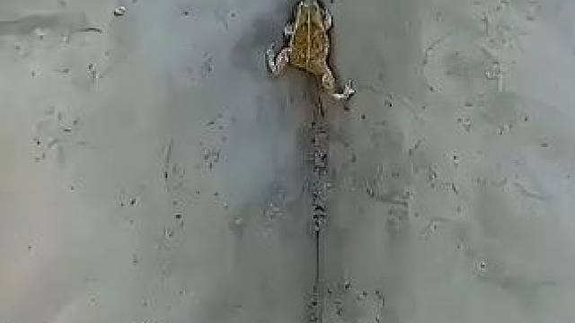 爬的越高摔的就越疼 爬的越高摔的就越疼